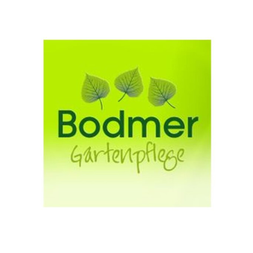 Bodmer